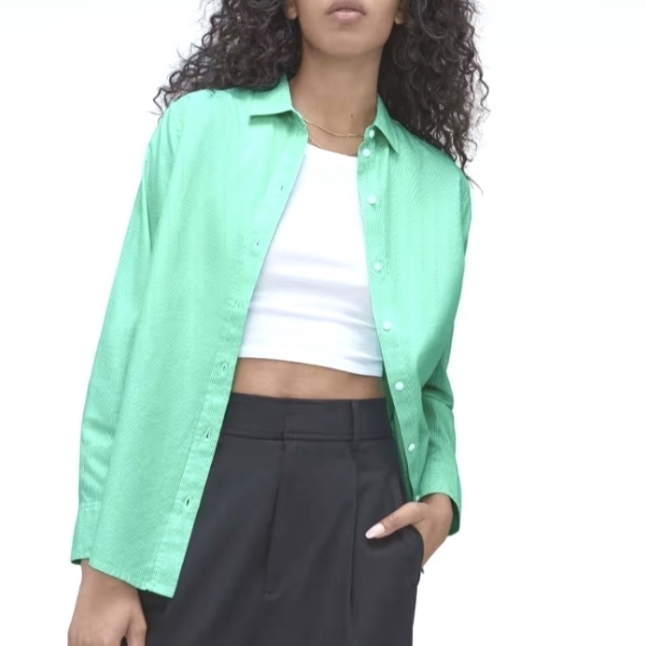 Nwt New Everlane Oversized Cotton Button Down Shirt Mint Green